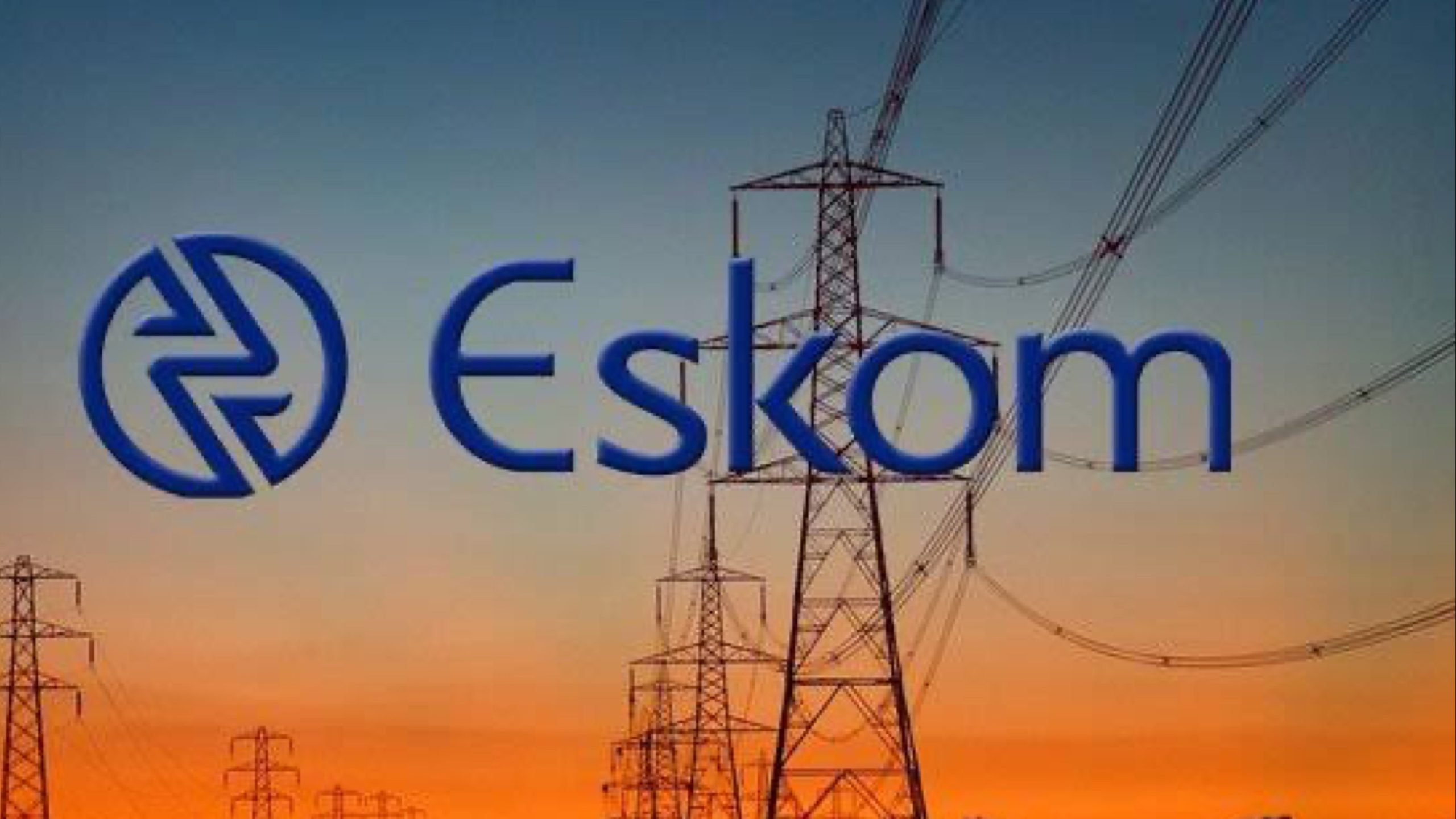 Eskom electricity trading dispute: Ramakgopa urges withdrawal
