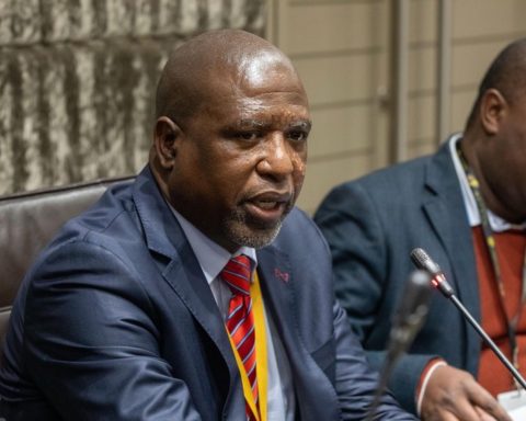 Mkhwanazi Probe Under ANC Leadership Begins in Parliament