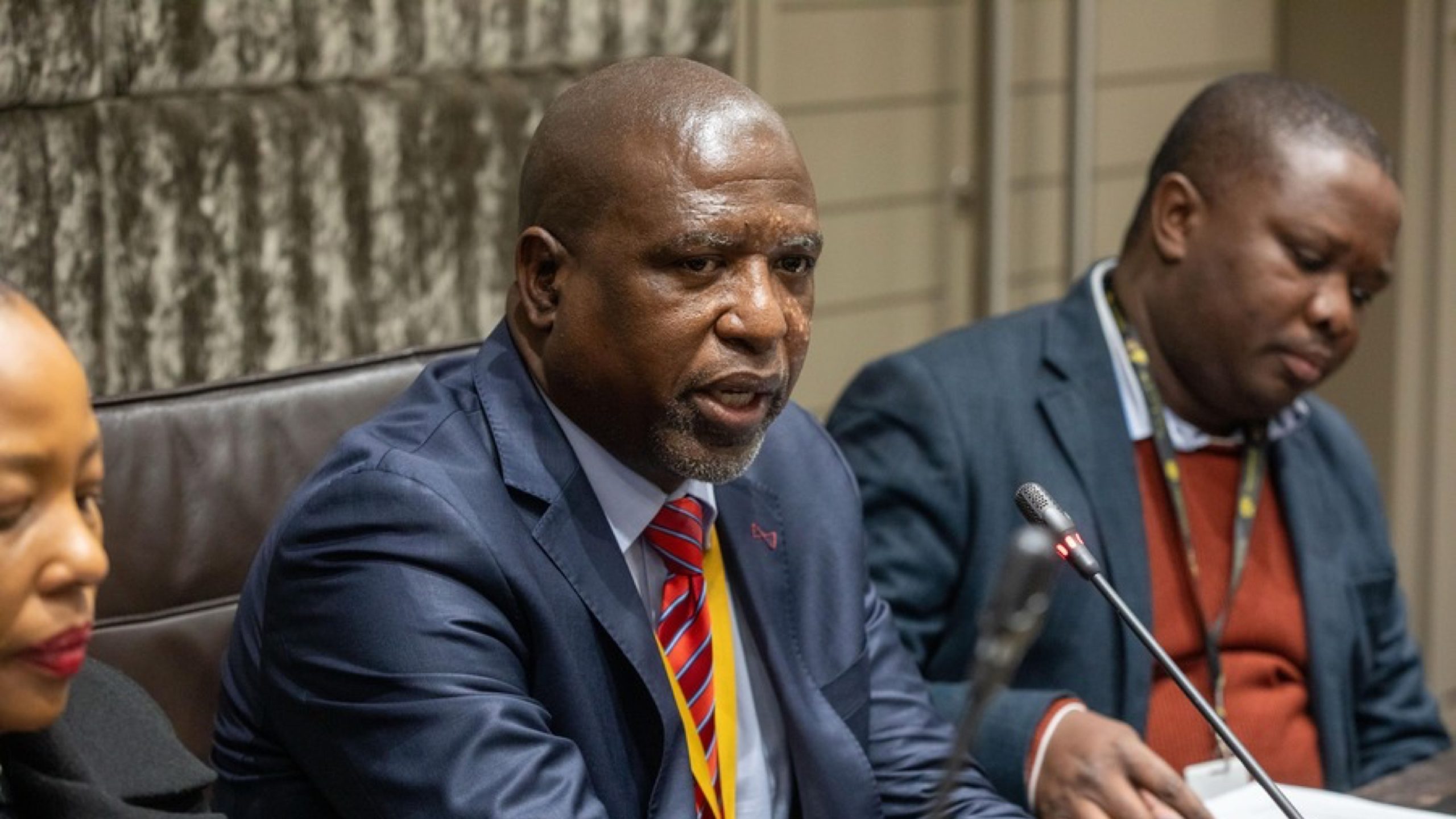 Mkhwanazi Probe Under ANC Leadership Begins in Parliament
