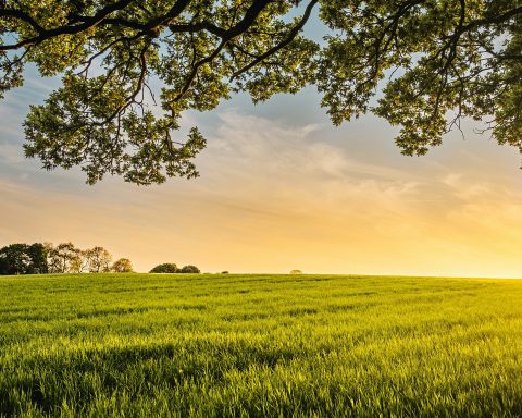 Ekurhuleni Land Expropriation Fight Heads to Court