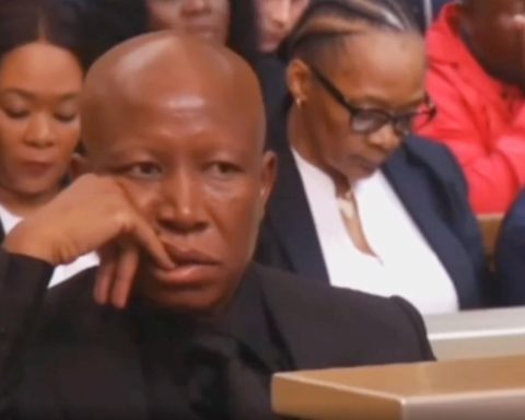Judgment Delayed in Julius Malema Firearm Case