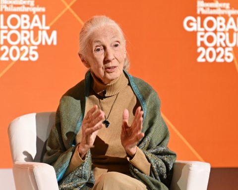 Jane Goodall Dies at 91, Leaves Global Legacy