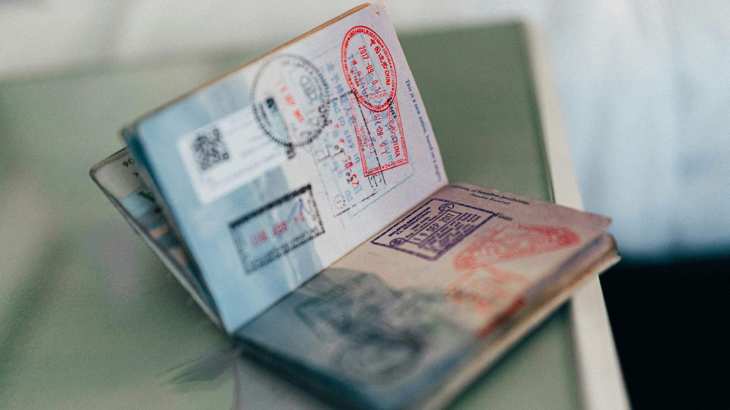 Nota Baloyi US Visa Revoked Over Kirk Post