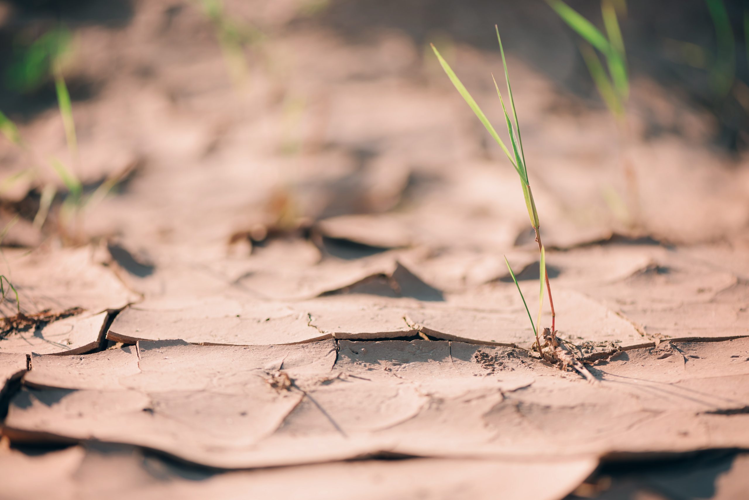 South Africa water crisis: two new laws, global lessons