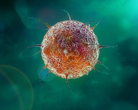 mRNA Vaccine Boosts Cancer Immunotherapy Outcomes