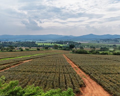 Eswatini Energy Security Drive Hits Key Milestones