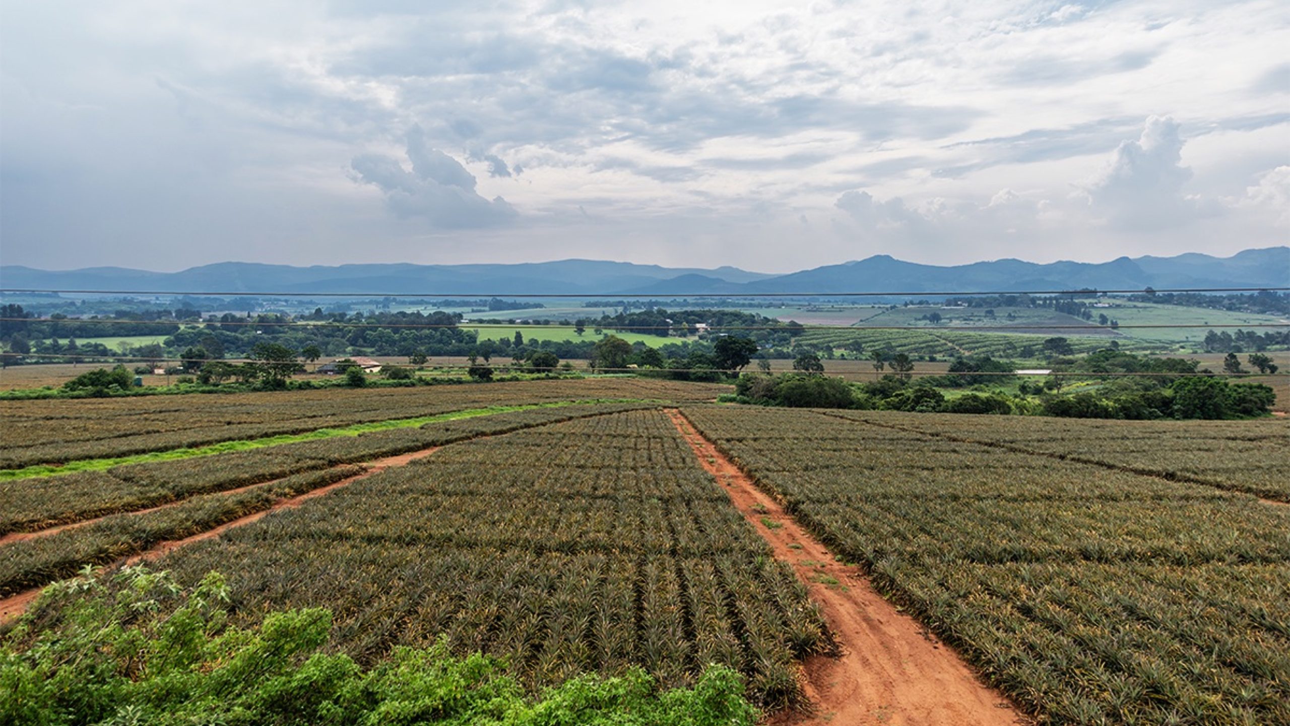 Eswatini Energy Security Drive Hits Key Milestones