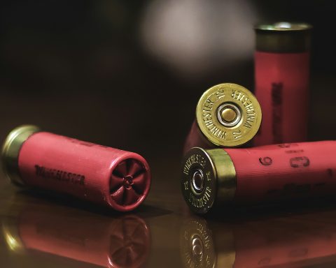 SAPS Lost Firearms Spark Outrage